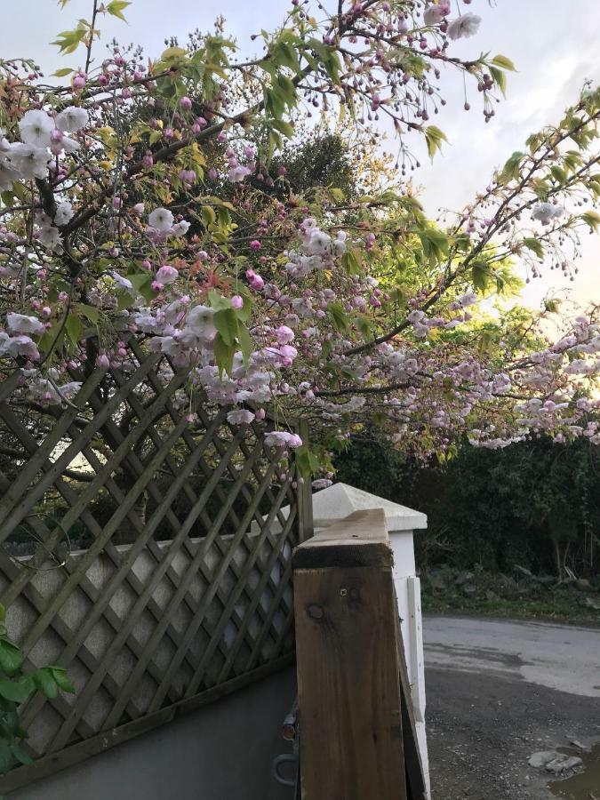 Tracey'S Farmhouse Cottage เบลฟาสต์ ภายนอก รูปภาพ